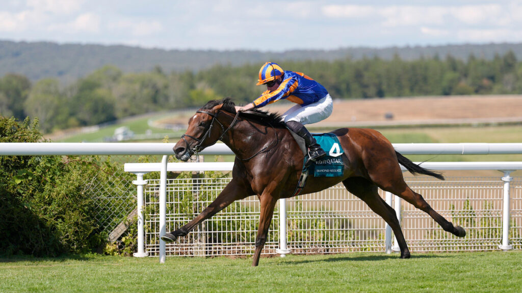 Diamond Necklace sparkles in Nassau Stakes