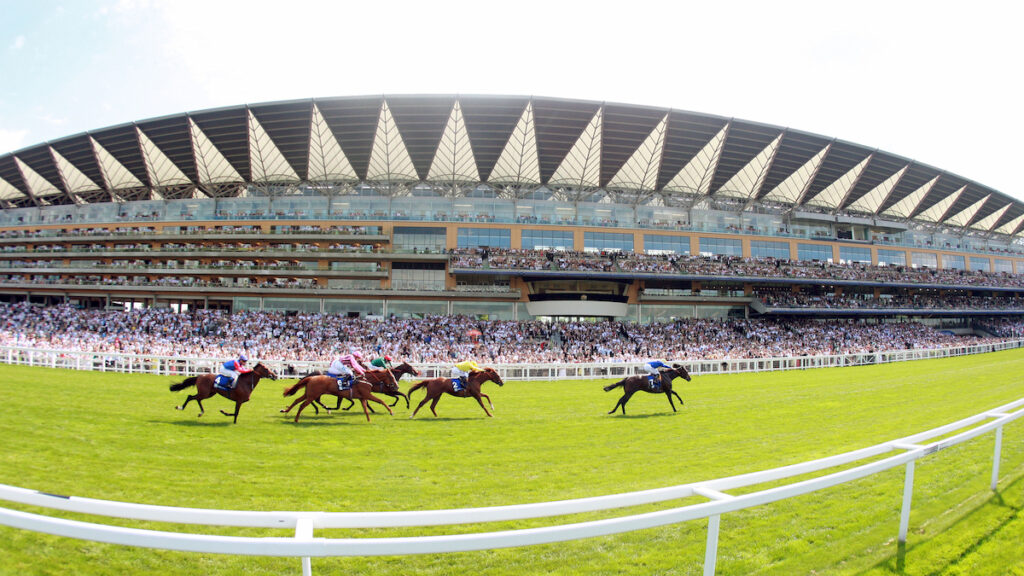 Andrew's Angles - King George Day Thoughts for Ascot