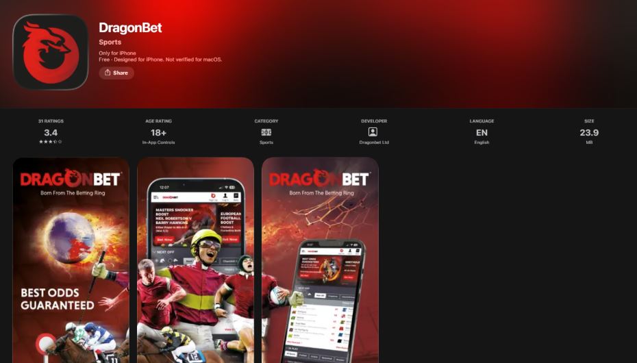 Dragon Bet Casino Mobile Compatibility & App
