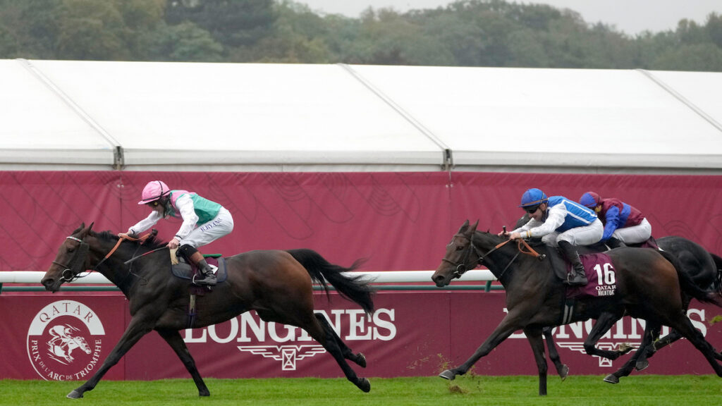 Aventure conquers unbeaten Diamond Necklace in Prix Jean et Louis Romanet