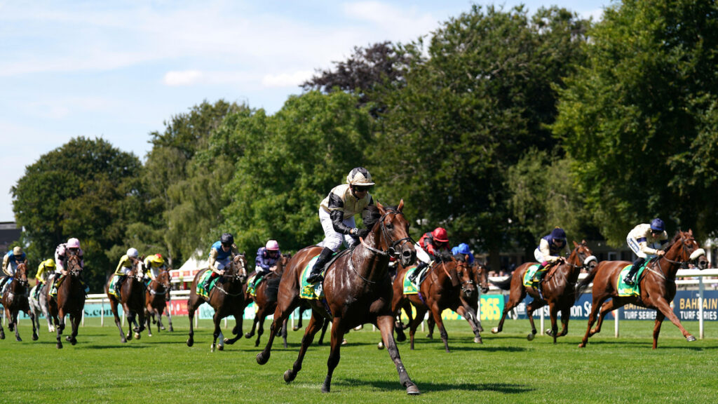 Prince Of India to step back up to seven furlongs in Hungerford Stakes