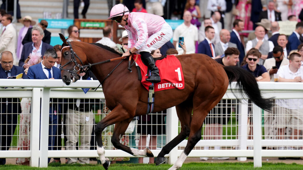 Newmarket & Ascot Racing Tips - Joe Napier's Lucky 15 Tips for Saturday 8 August