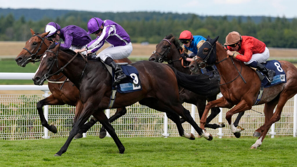 Racing news today: Ehtical Diamond & Isaac Newton give Ryan Moore Leopardstown double - Friday 7 August