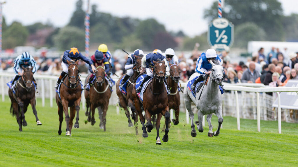 Andrew's Angles - Attention on day two at York's Ebor Festival