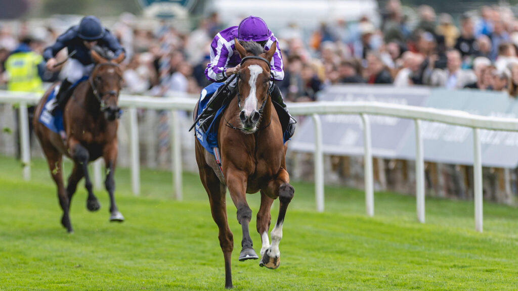 Yorkshire Oaks Trends 2026: All-age Oaks stats and how to find the winner