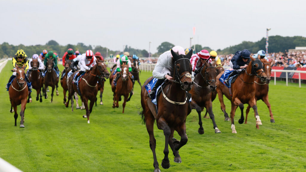 Ebor Handicap Trends 2026: Finding winner of York's valuable flat handicap