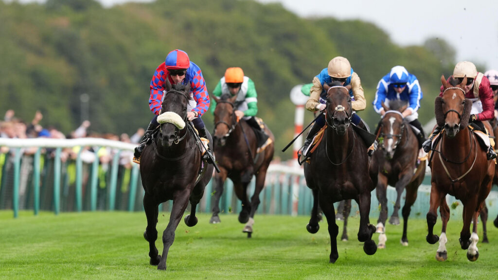 Sprint Cup Trends 2026: Can Big Mojo go back-to-back in Haydock Group 1?