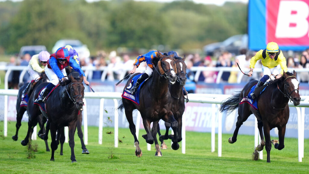 St Leger Trends 2026: Stats for the final Classic of the British flat season