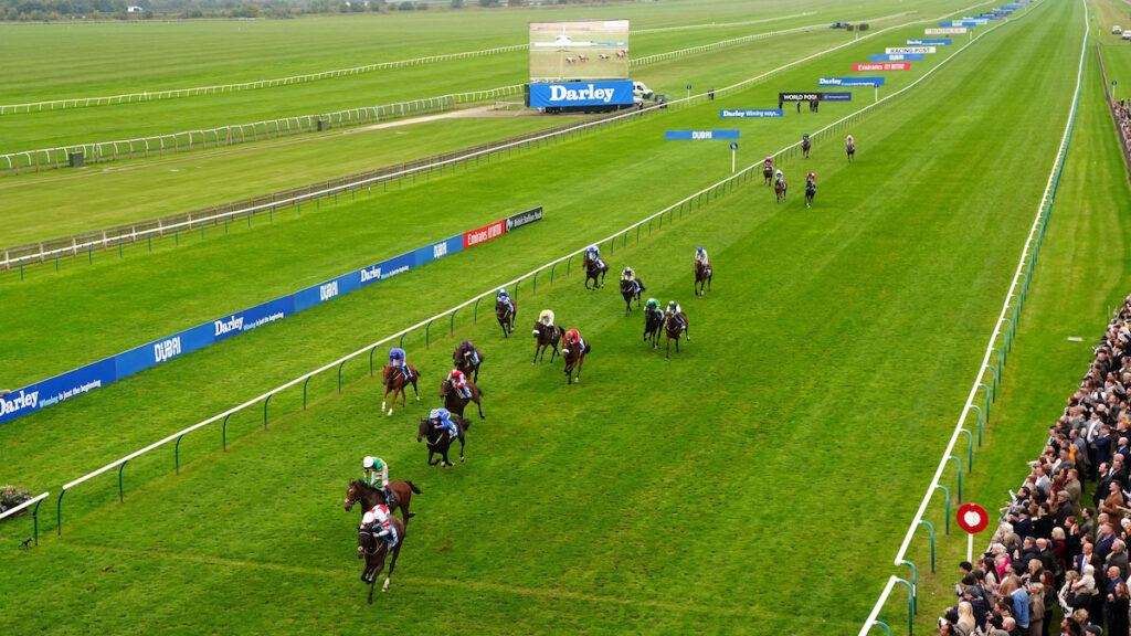 Ebor Handicap tips, odds, racecard & trends 2026: Matthew Sutcliffe previews York's feature handicap