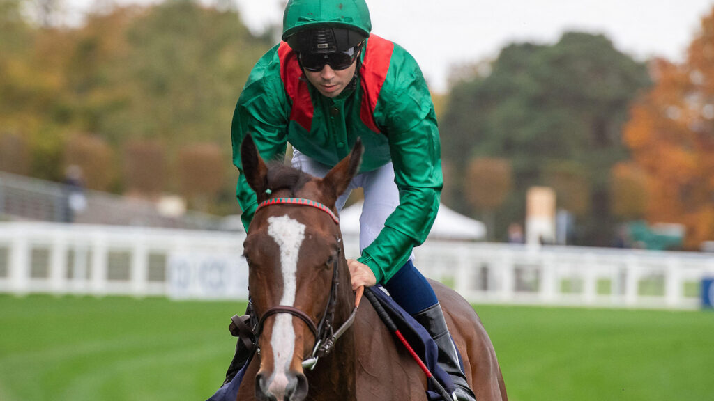 Rayevka primed for Nunthorpe Stakes bid