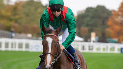 Rayevka primed for Nunthorpe Stakes bid