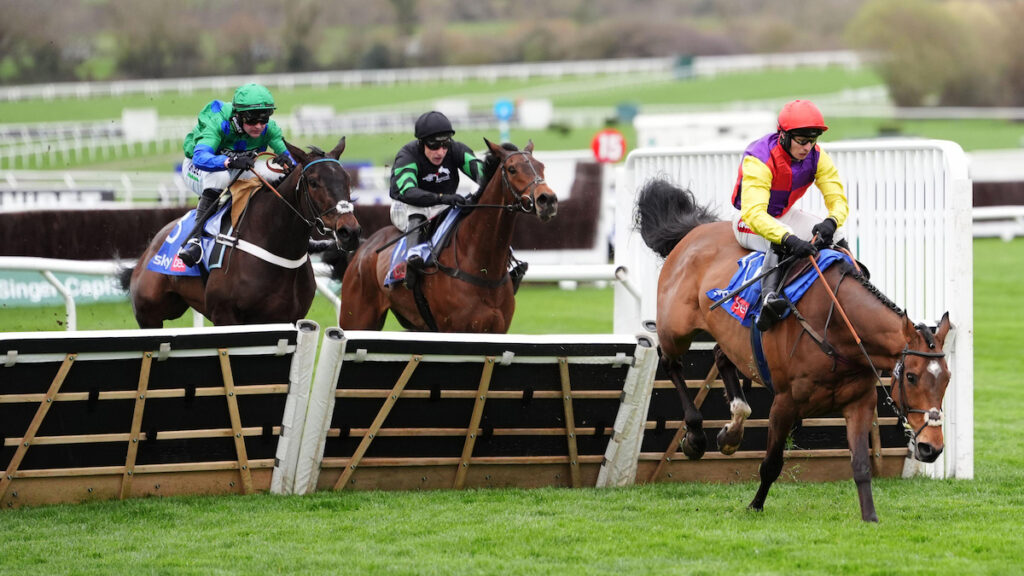 Sober Glory set for novice chase campaign 