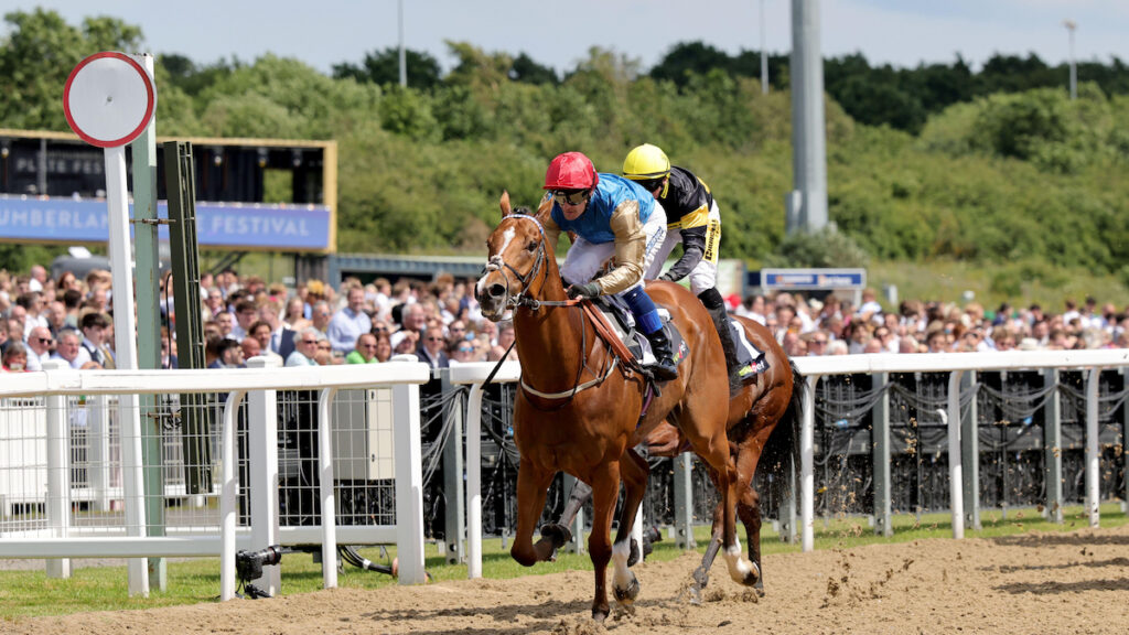 Chester, York & Newmarket Racing Tips - Andrew Mount's Best Bets for Saturday 22 August