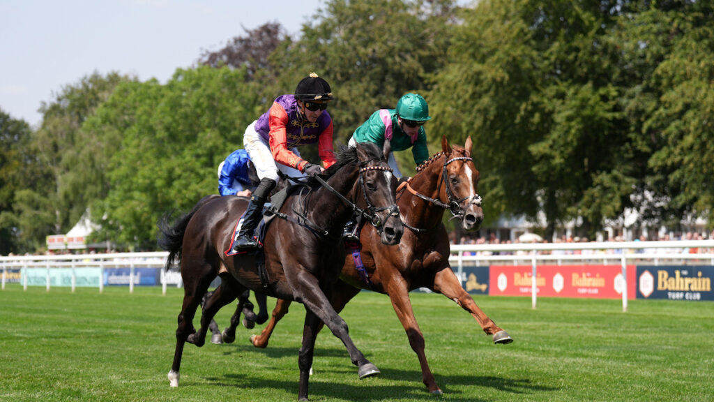 St Leger & Arc Ante-Post Racing Tips - Matthew Sutcliffe's Look Ahead to Big Autumn Races