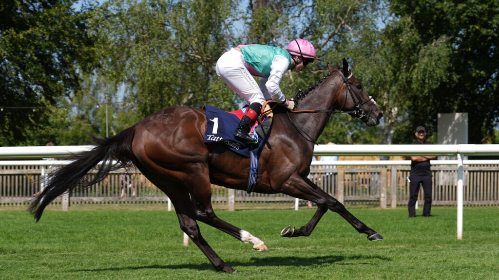 Racing news today: Jim Crowley retires from riding as Blue Bolt lands back-to-back Group 1s - Monday 3 August