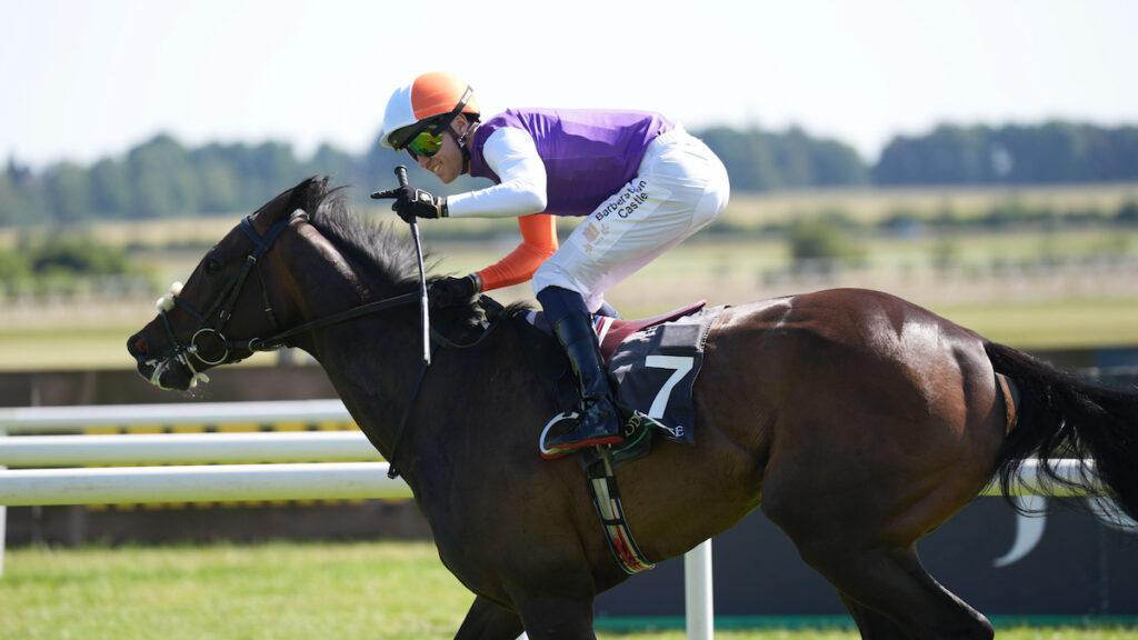 Yorkshire Oaks tips, odds, racecard & trends 2026: Oaks double on the cards at York
