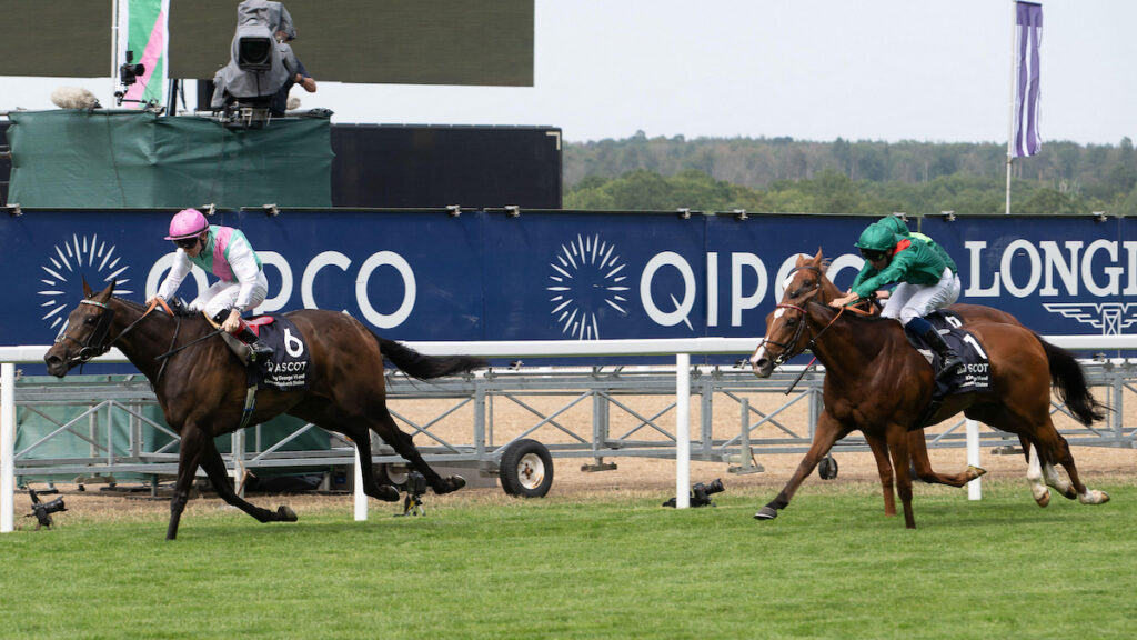 Racing news today: Kalpana looks to back up King George heroics as Sun Goddess seeks riches - Wednesday 19 August