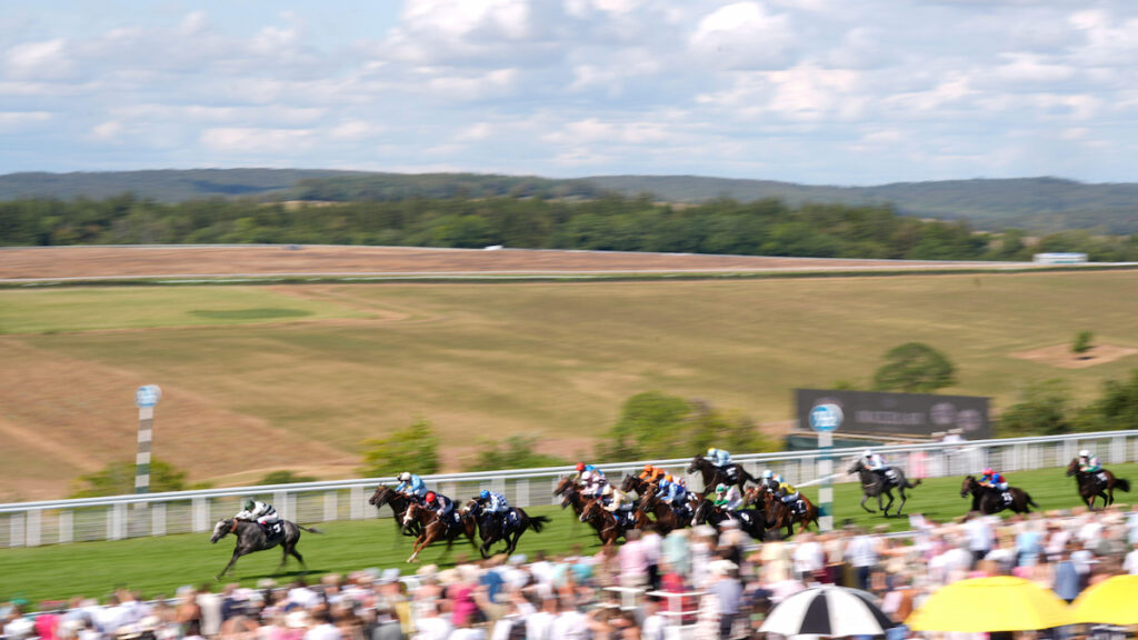 Ebor meeting the next step for Naana’s Shadow