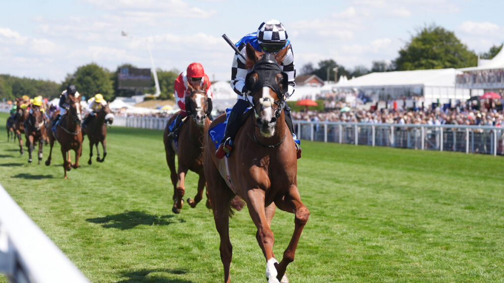 Defiantly a Melbourne Cup possible following Kergolay success