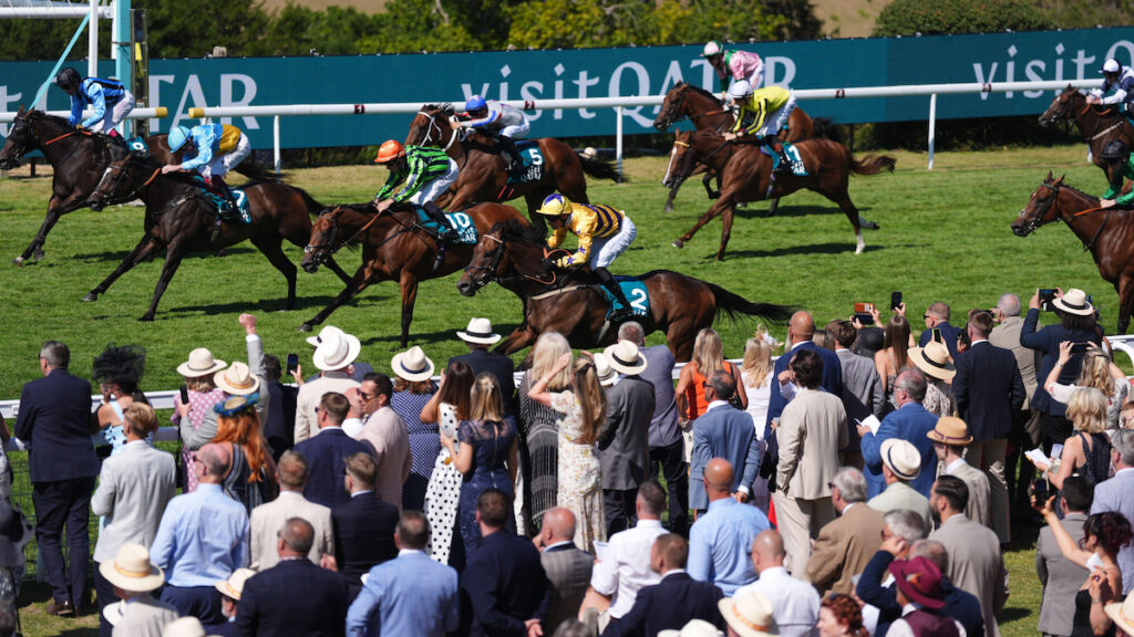 Ebor Meeting Lucky 15 Tips - Matthew Sutcliffe's Best Bets for the Knavesmire's signature festival
