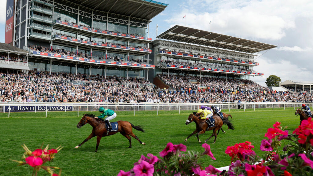 Haffner justifies favouritism in Acomb Stakes
