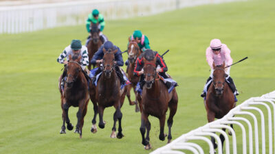 ‘All options are open’ for Great Voltigeur winner Maltese Cross