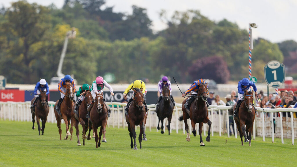 Item provides shock result in fascinating Juddmonte International