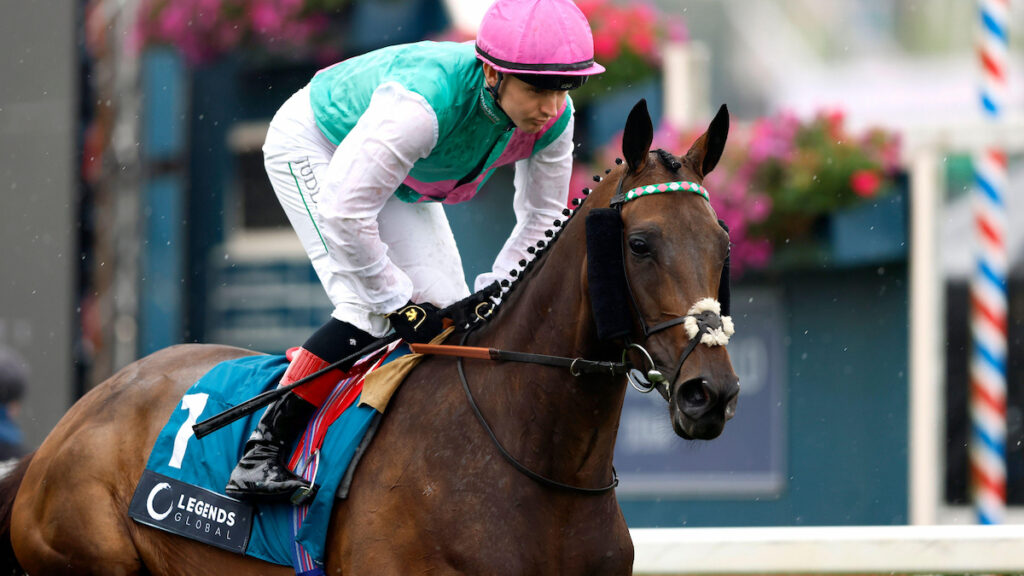 Racing news today: Kalpana clings on as swansong nears as Sun Goddess routs sales rivals - Friday 21 August