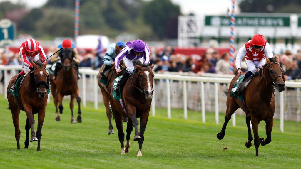 Lonsdale Cup winner Al Nayyir set Prix Royal-Oak date