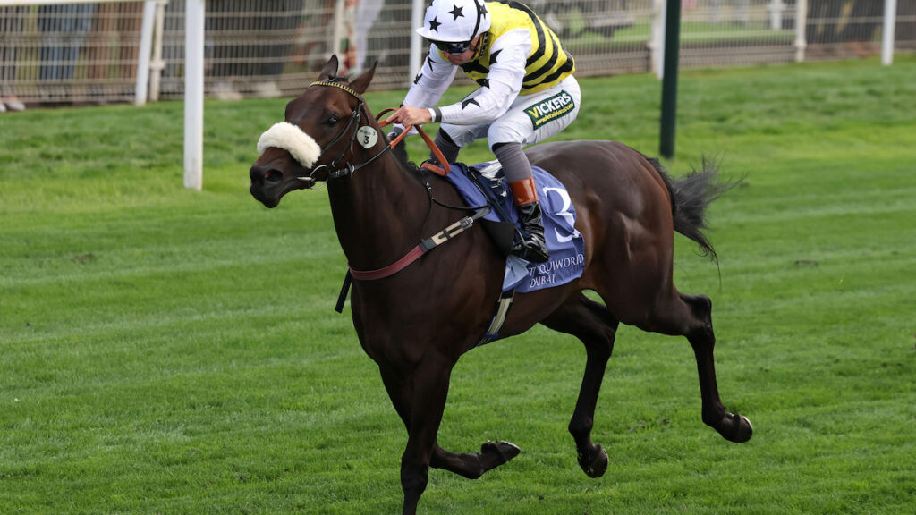 Michael Dods has plan mapped out for Gimcrack winner Arapaho Gold