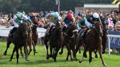 Andrew’s Angles – Takeaways from the York Ebor Festival