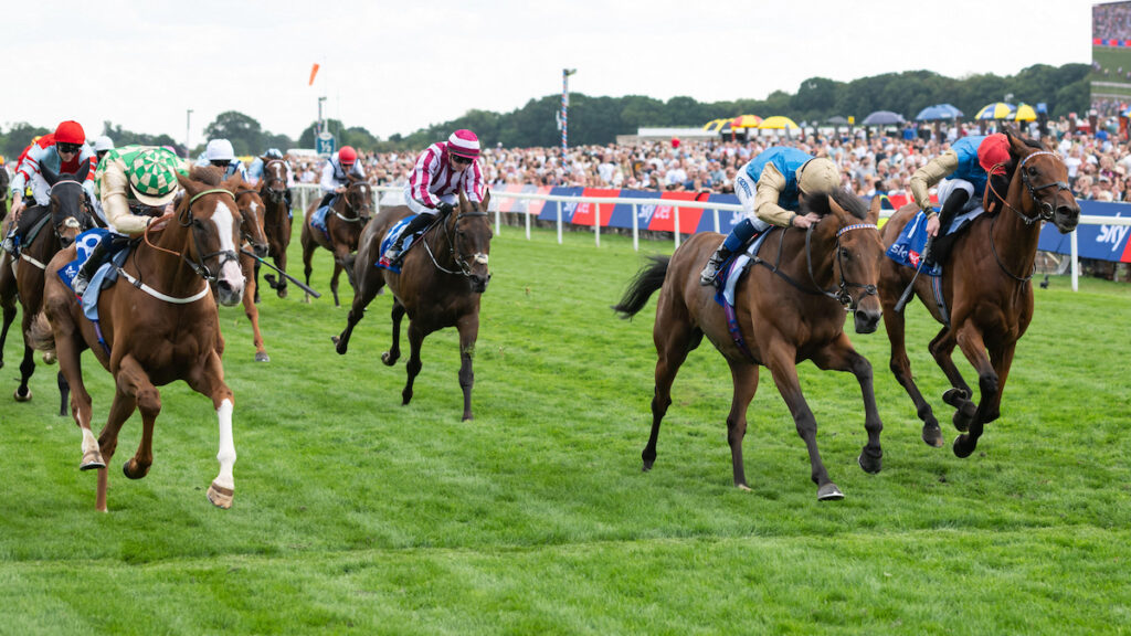 Alan King hoping Ebor winner Daiquiri Bay can follow in Trueshan’s footsteps