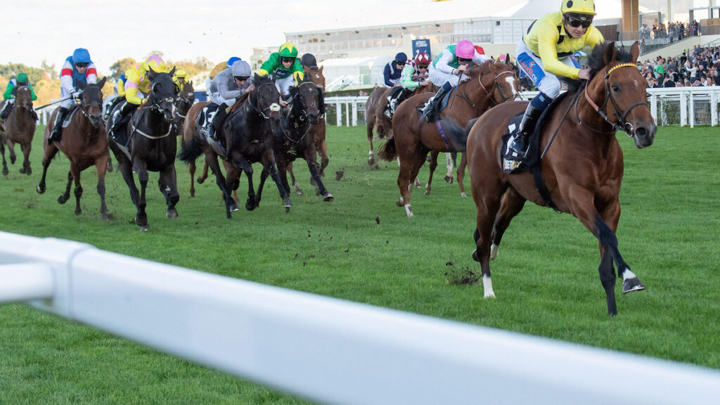 Newbury & Ayr Racing Tips - Matthew Sutcliffe's Best Bets for Saturday 19 September