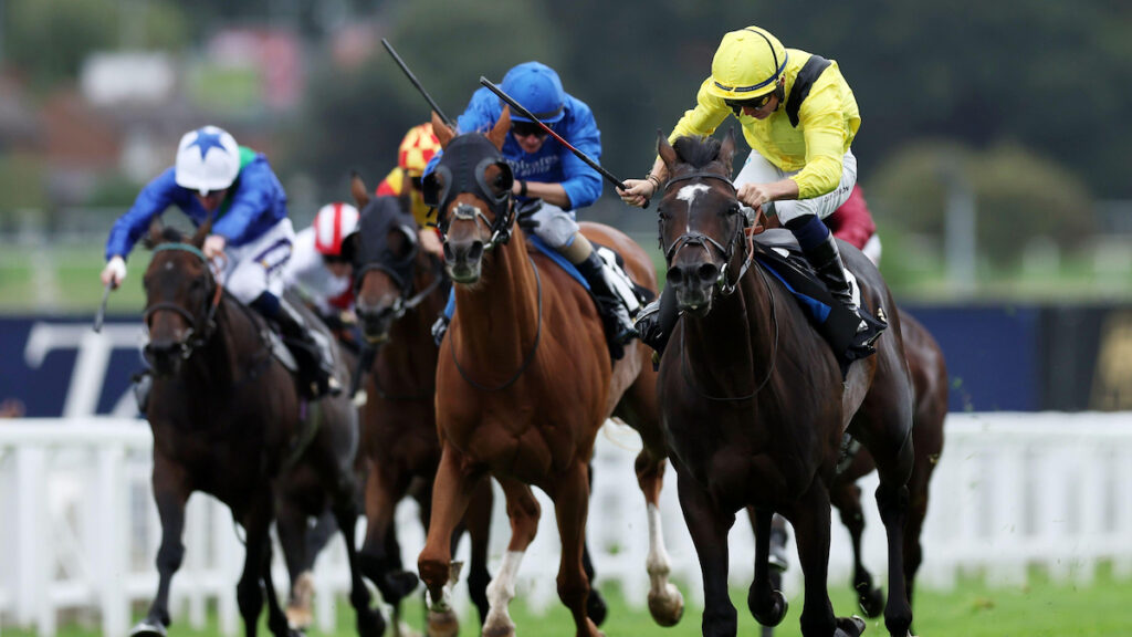 Prix de l’Arc de Triomphe ‘Plan A’ for Saddadd