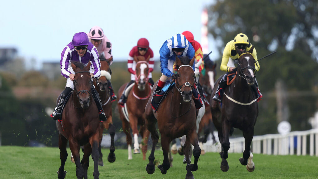 Irish Champion Stakes Trends 2026: Leopardstown Group 1 under the microscope