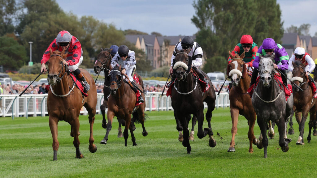 Andrew's Angles - Thoughts for Ayr's Western meeting featuring Ayr Gold Cup