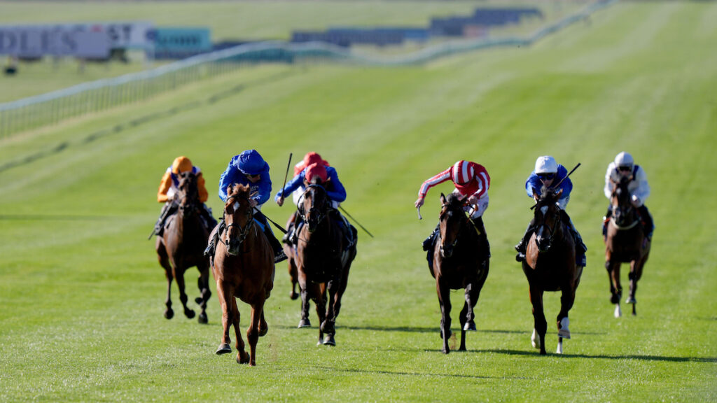 Newmarket runners on Thursday: the key horses & stories across the Cambridgeshire meeting's opening card