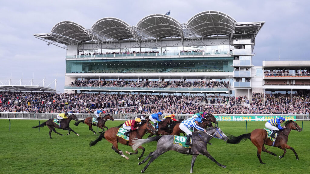 Pat's NAPS: Join & fight for prizes at free-to-play competition during Newmarket's Cambridgeshire meeting