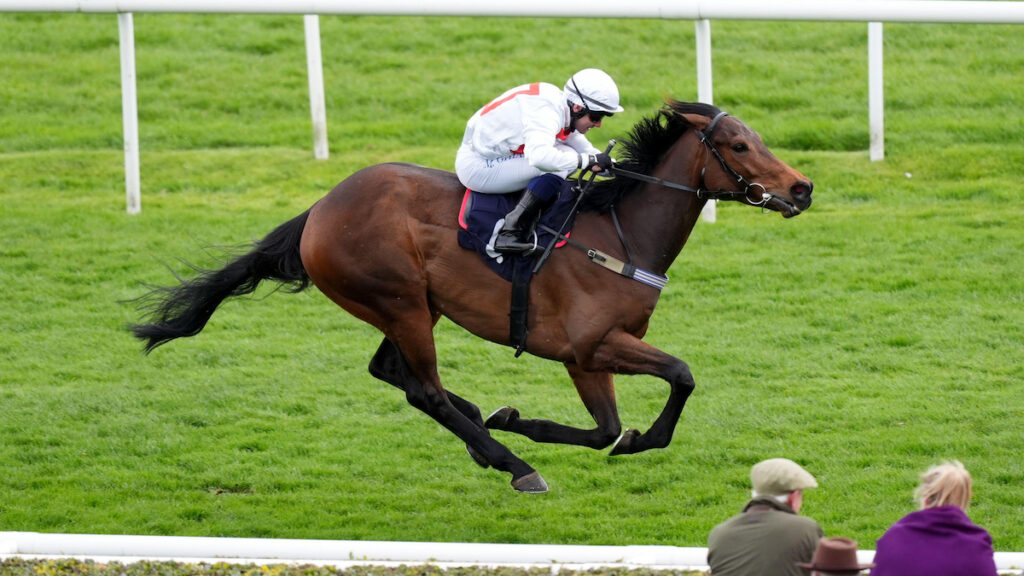 Market Movers: Five well-backed horses to be aware of on Wednesday 23 September