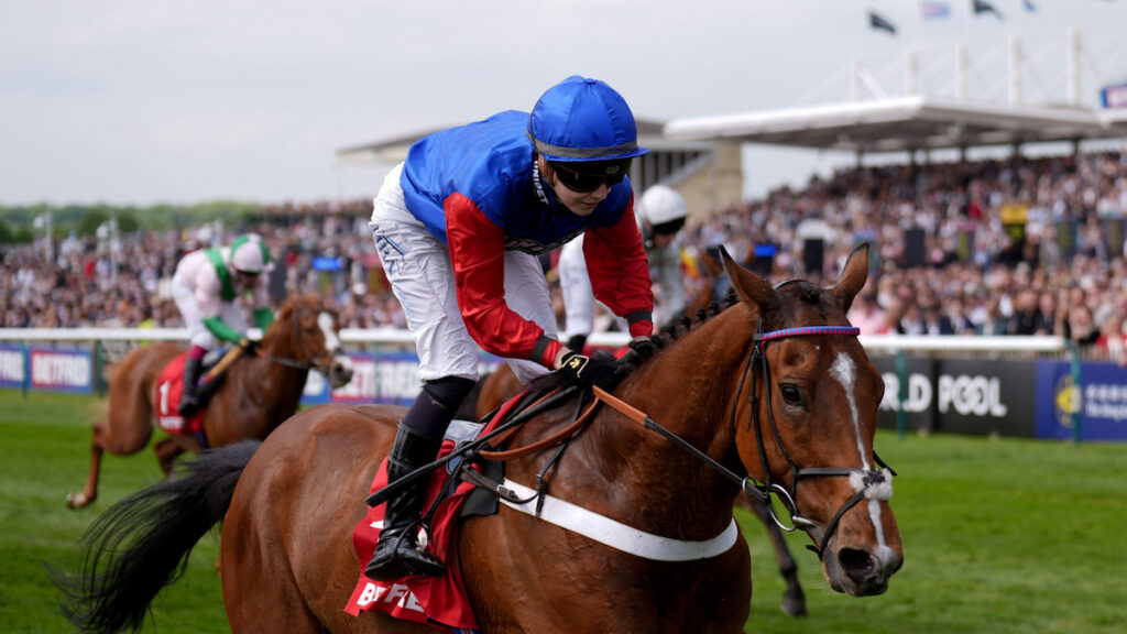 Market Movers: Four well-backed horses to be aware of on Thursday 24 September