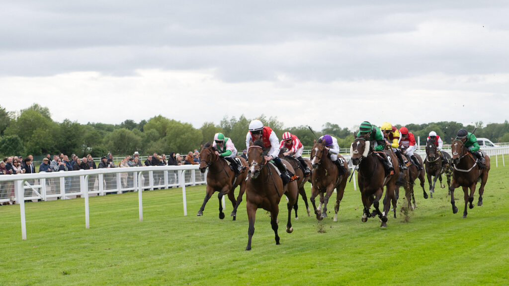 Newbury & Ayr Racing Tips - Joe Napier's Lucky 15 Tips for Saturday 19 September