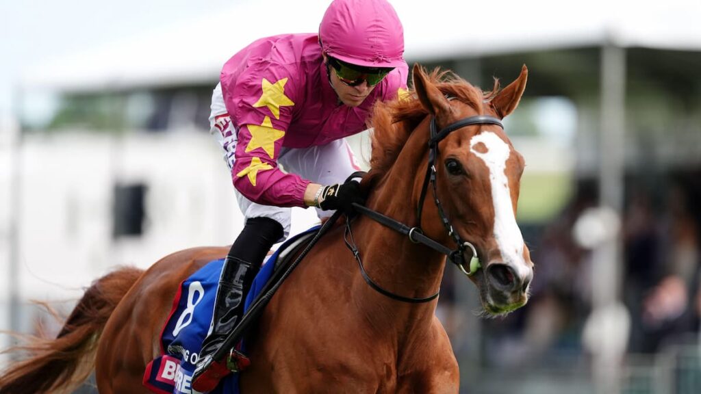 Dylan Browne McMonagle in race to be fit for Thundering On’s Arc ride