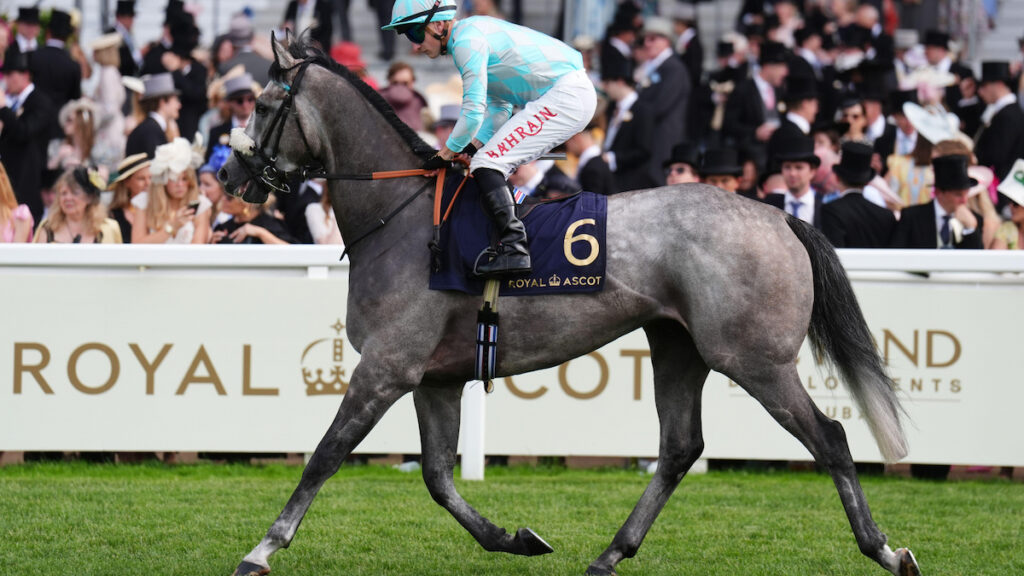 William Haggas hoping patient approach pays off with Binhareer