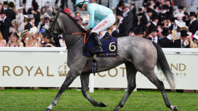 William Haggas hoping patient approach pays off with Binhareer
