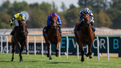 Wine Dark Sea bidding for Caulfield & Melbourne Cup double