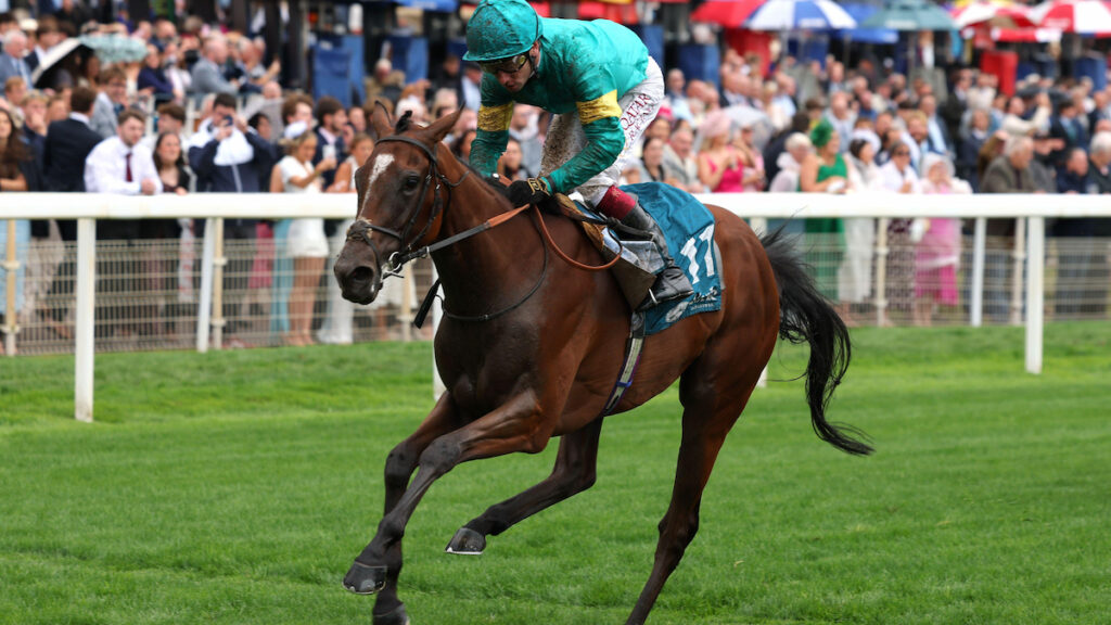 Newmarket runners on Friday: a round-up beyond the headline races