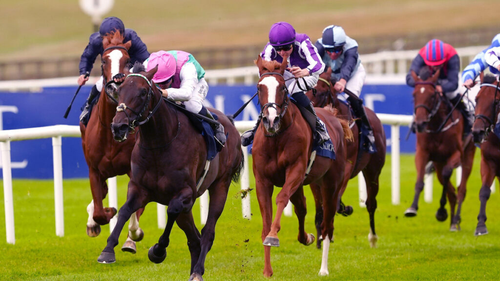 “He’s going to be a high class prospect” - Monogram team excited for the future