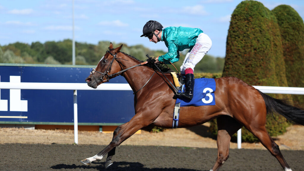 Newmarket preview - Five eyecatchers from Matty Sutcliffe on Cambridgeshire day