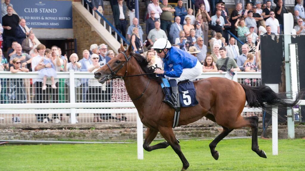 Maho Bay returns to winner's enclosure, as Raaheeb fails to fire