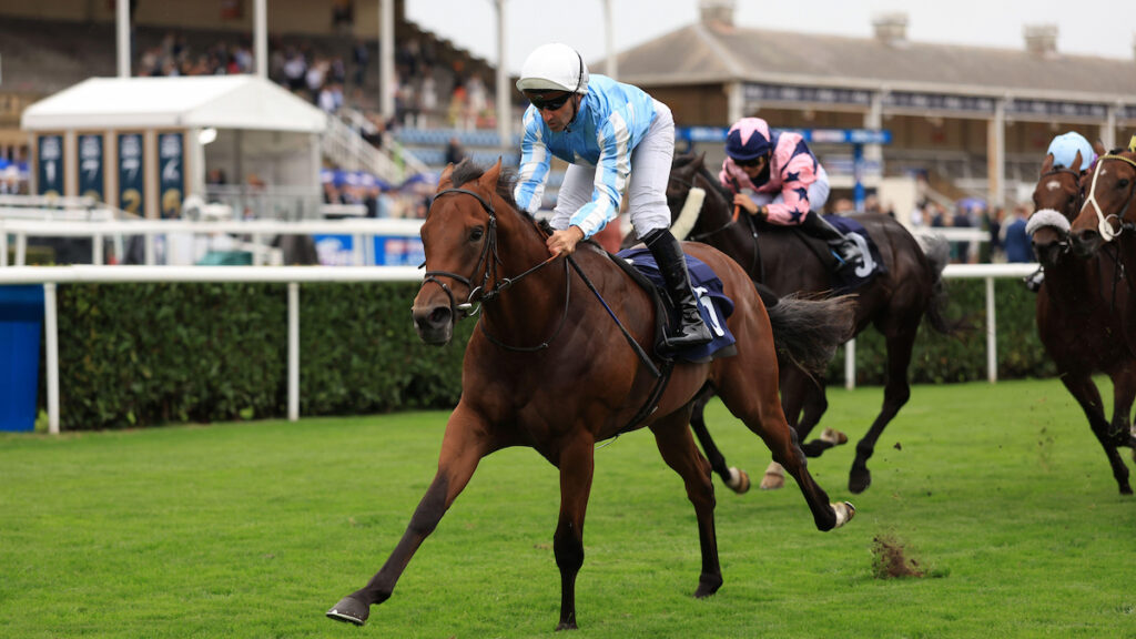 Newmarket preview - Matty Sutcliffe's three to watch on day one of the Cambridgeshire Meeting on Thursday